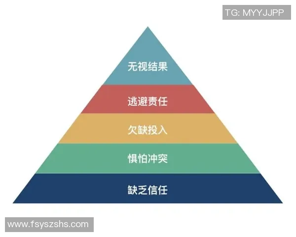 深入探讨上海排球队的战术配合与团队协作的关键因素分析