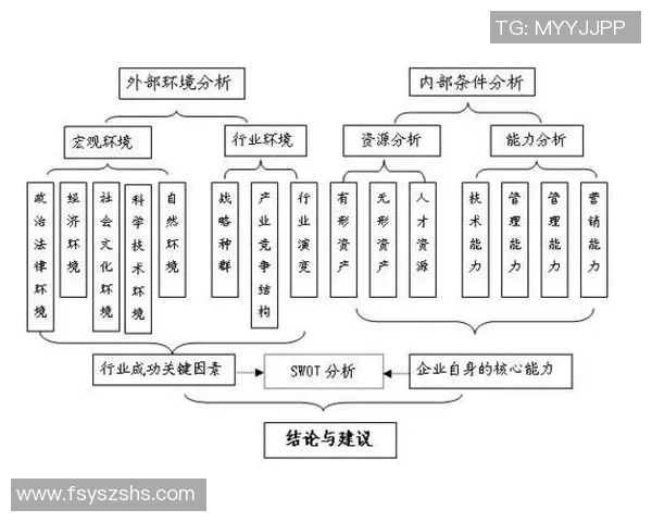 深圳排球队配合策略深度解析与对比分析